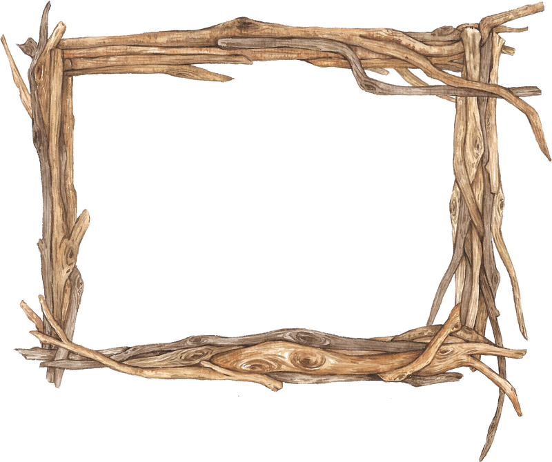 Frame